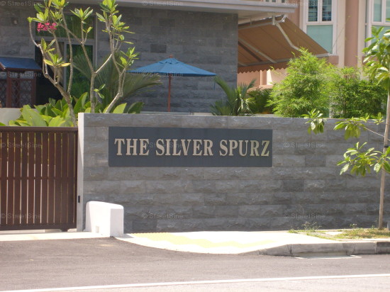 The Silver Spurz #1035382
